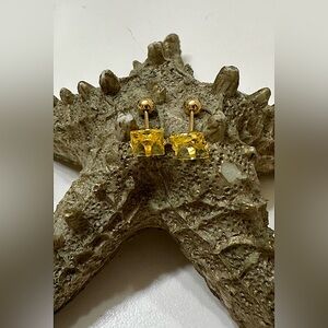 Stainless Steel Gold tone Yellow stud earrings